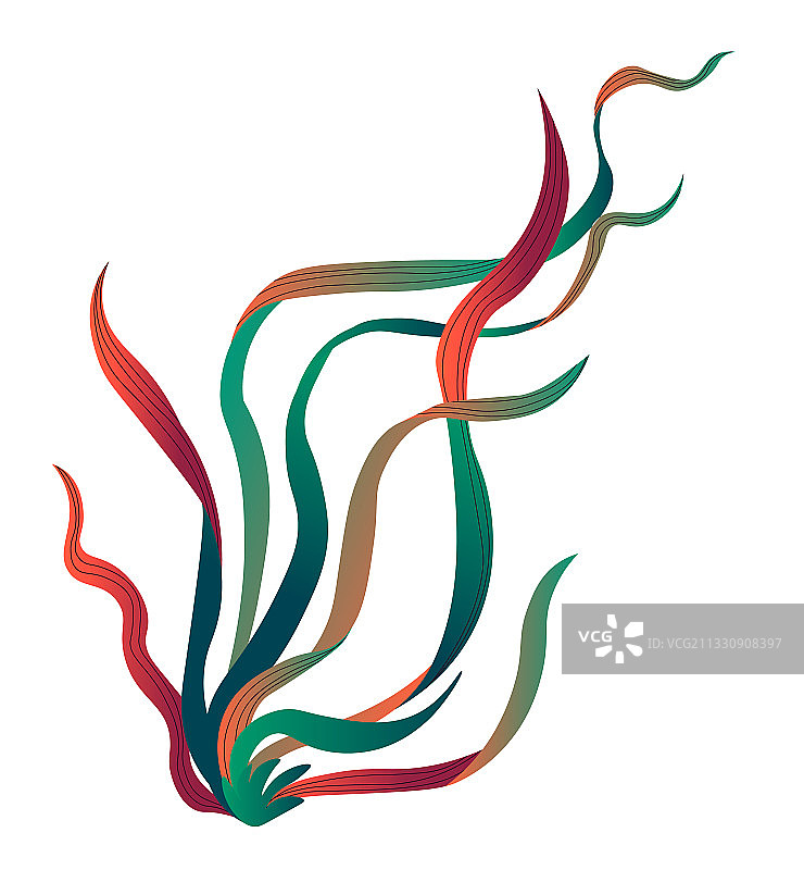 长叶海藻，海底或洋底图片素材