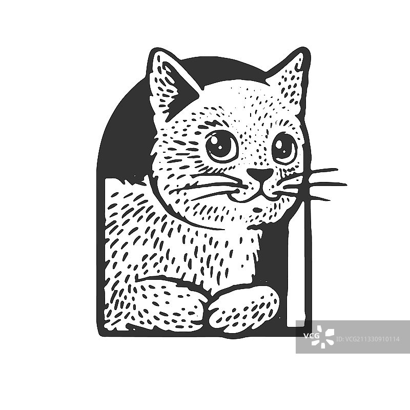 猫舍里的猫咪素描图片素材