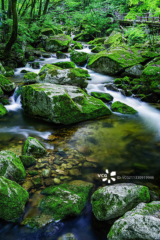 秦岭太平国家森林公园白天溪流图片素材