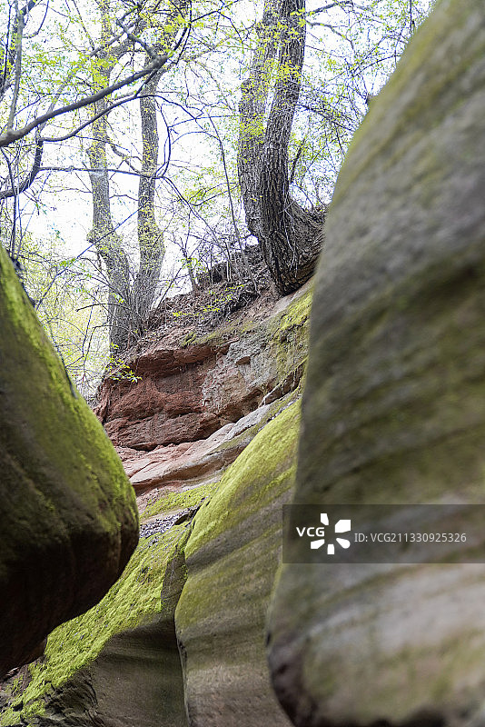 陕西省 延安市 甘泉县雨岔村 雨岔大峡谷图片素材