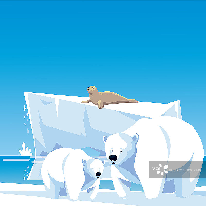 北极熊和海豹冰山北极景观图片素材