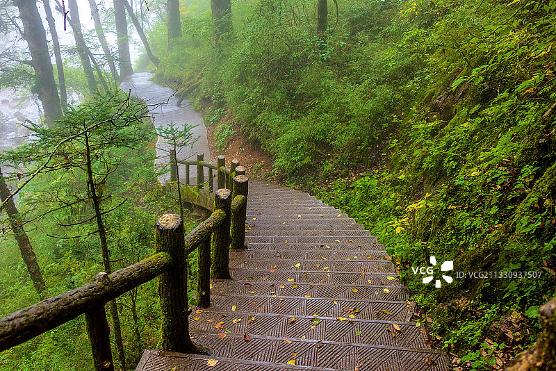 中国湖北神农架金猴岭风景区图片素材