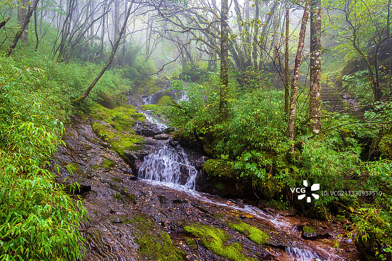 中国湖北神农架金猴岭风景区图片素材