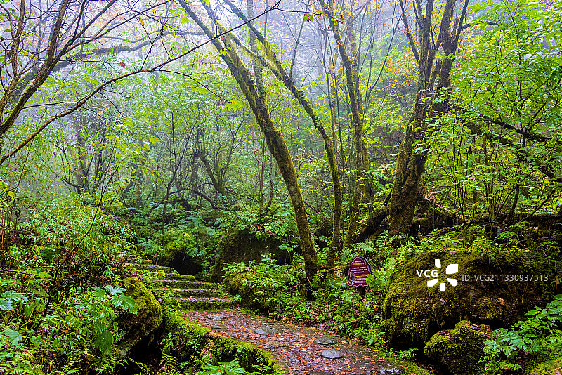 中国湖北神农架金猴岭风景区图片素材