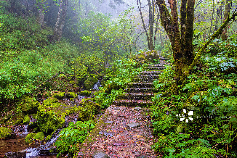 中国湖北神农架金猴岭风景区图片素材