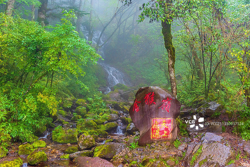 中国湖北神农架金猴岭风景区图片素材