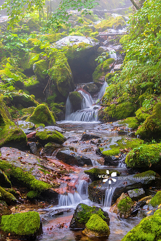 中国湖北神农架金猴岭风景区图片素材