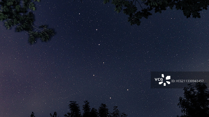 北斗七星 星空 树林 夜空图片素材