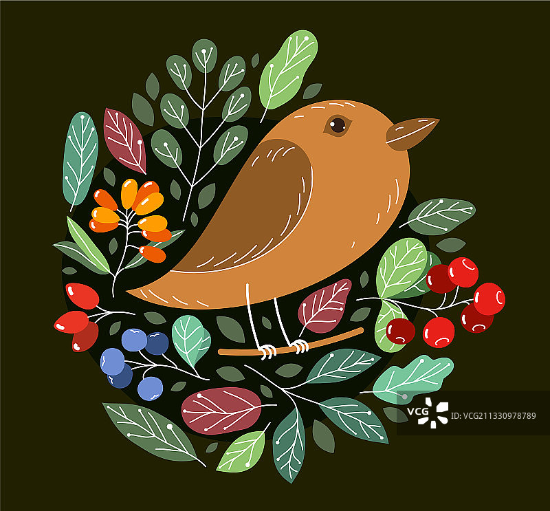 在野外环绕的树枝上可爱的小鸟图片素材