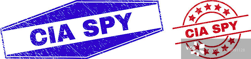 CIA间谍磨损圆形六边形徽章图片素材