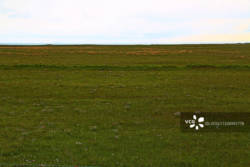 青海省青海湖畔的风光图片素材