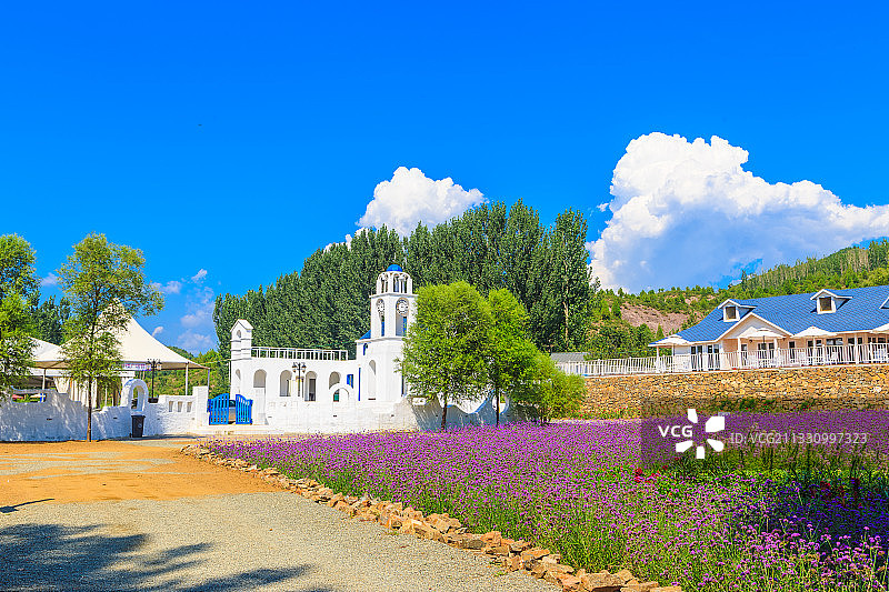 蓝白色房屋的薰衣草庄园图片素材