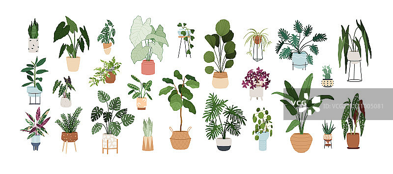 各式时尚盆栽家居装饰图片素材