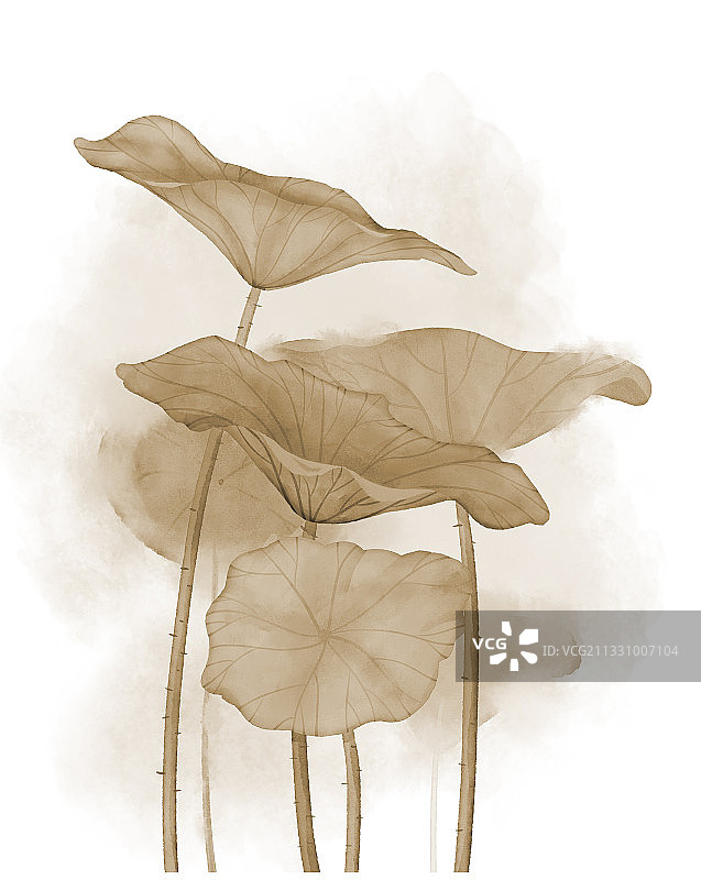 板绘仿水彩植物夏季古风荷叶素材元素插画图片素材