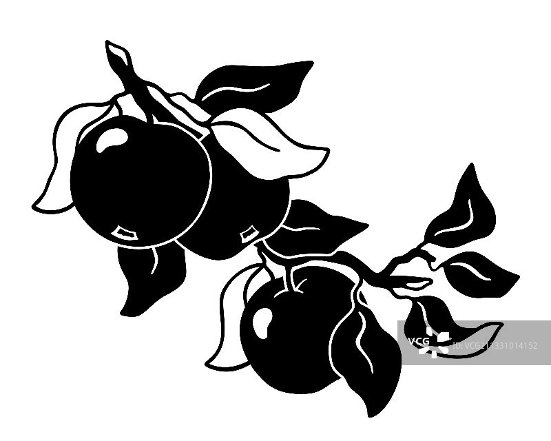 部分苹果树手绘剪影插画图片素材