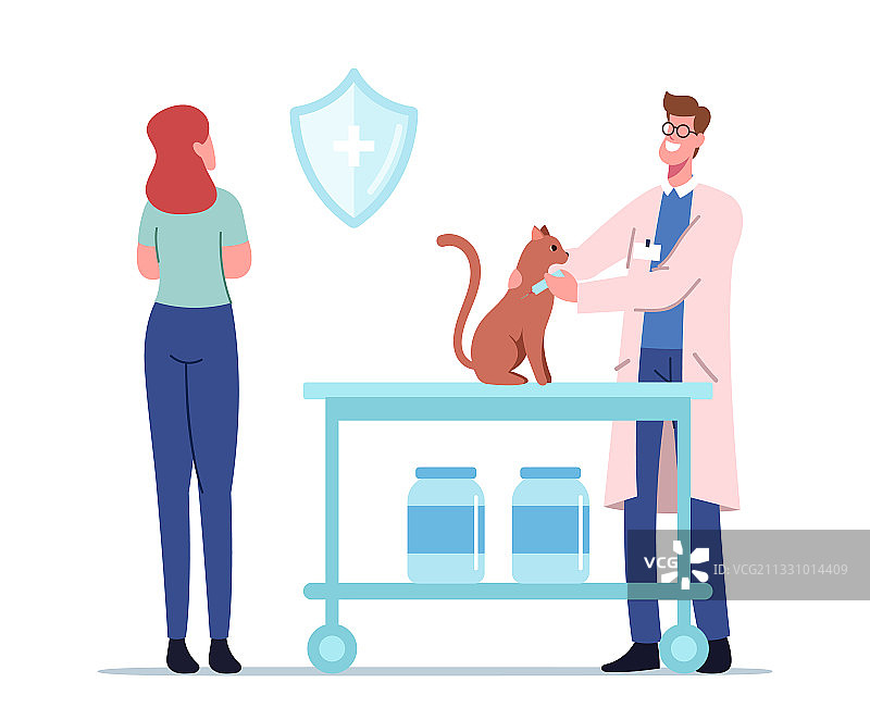 坐在兽医诊所桌子上的猫图片素材