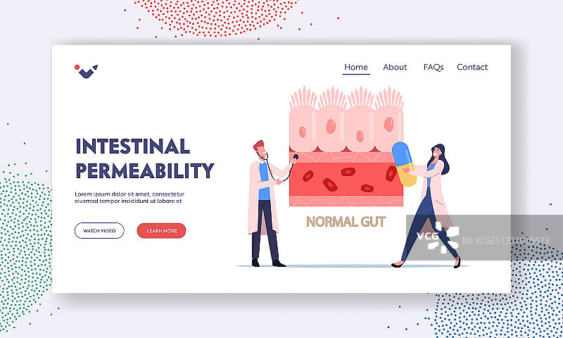 肠道通透性肠道疾病着陆页图片素材