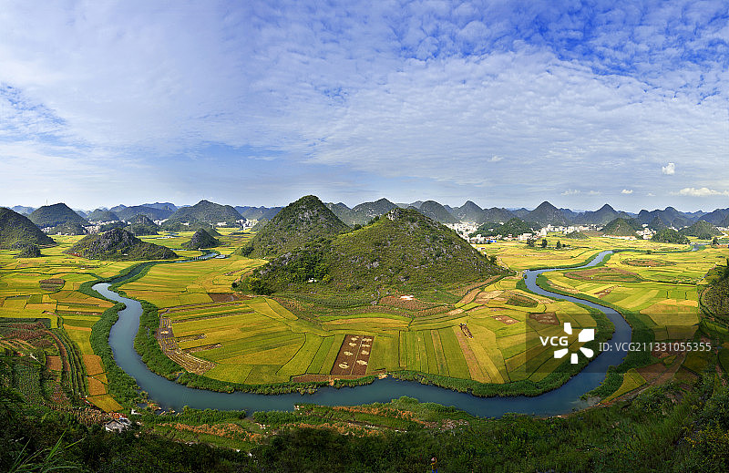 金色稻田图片素材