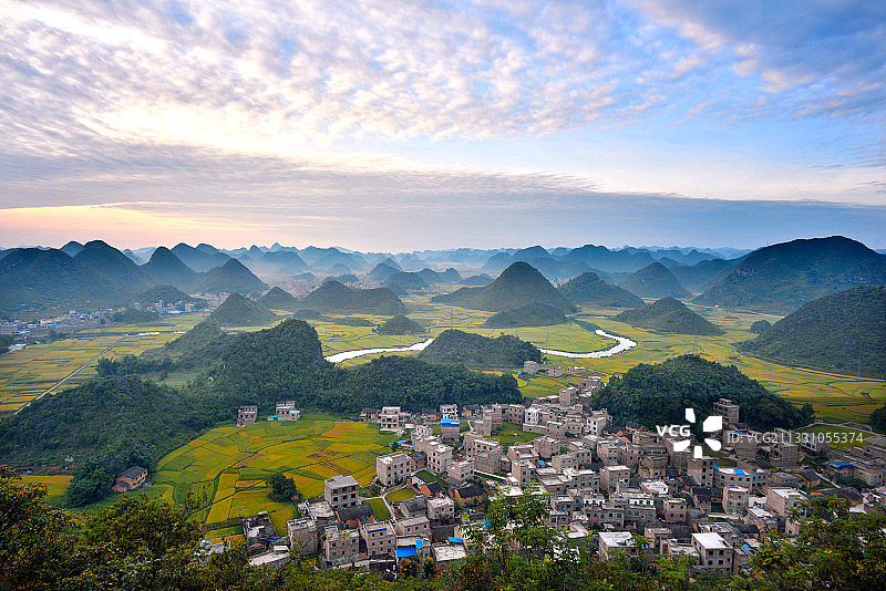 金色稻田图片素材
