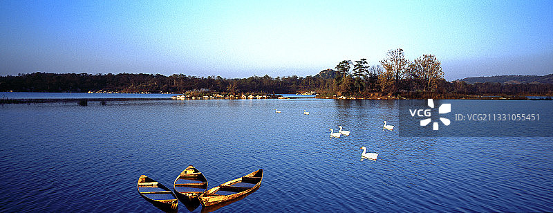 天鹅湖图片素材