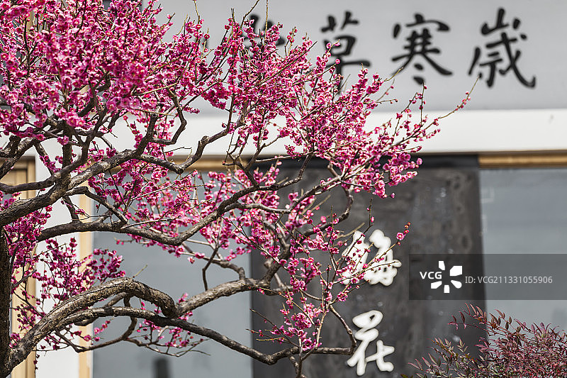 无锡梅园图片素材