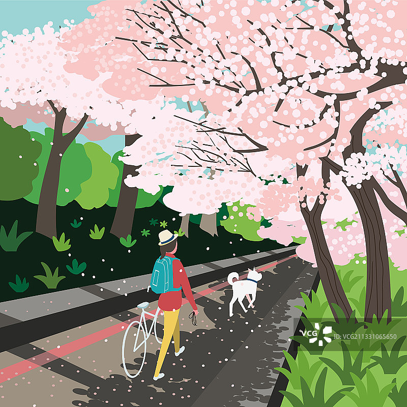 盛开的樱花树花园休闲海报图片素材