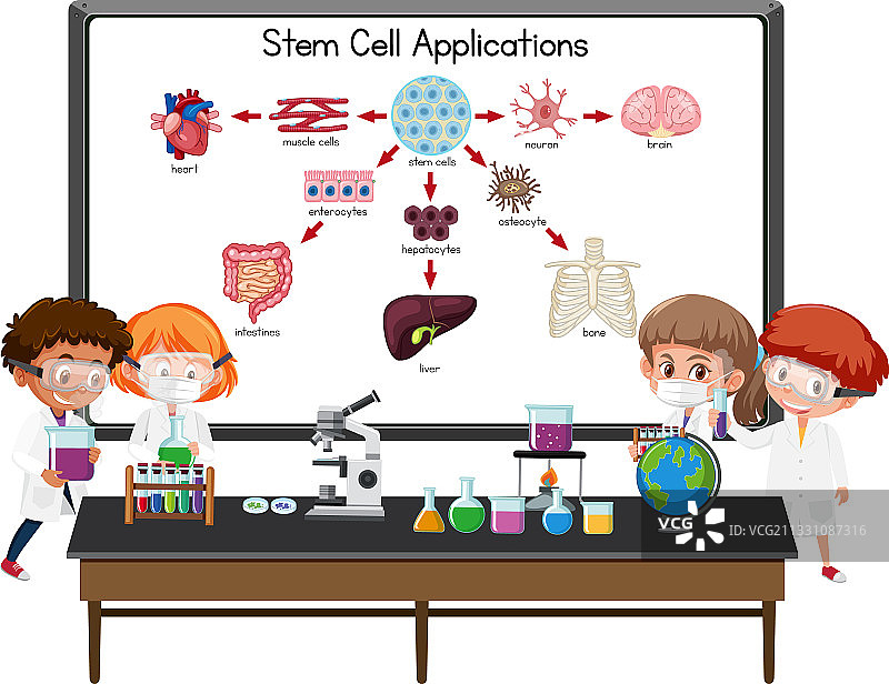 解释干细胞的年轻科学家图片素材