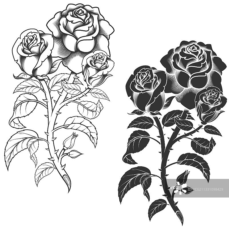 花束的灰度颜色设计图片素材