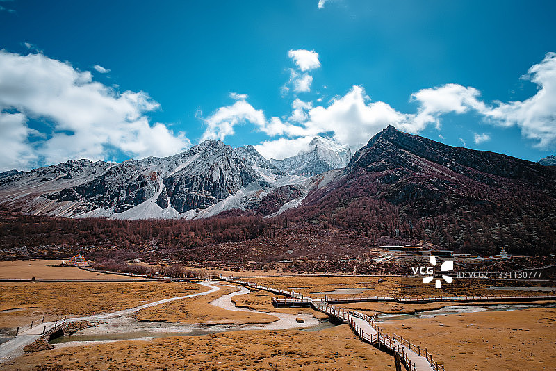 稻城亚丁·洛绒牛场图片素材