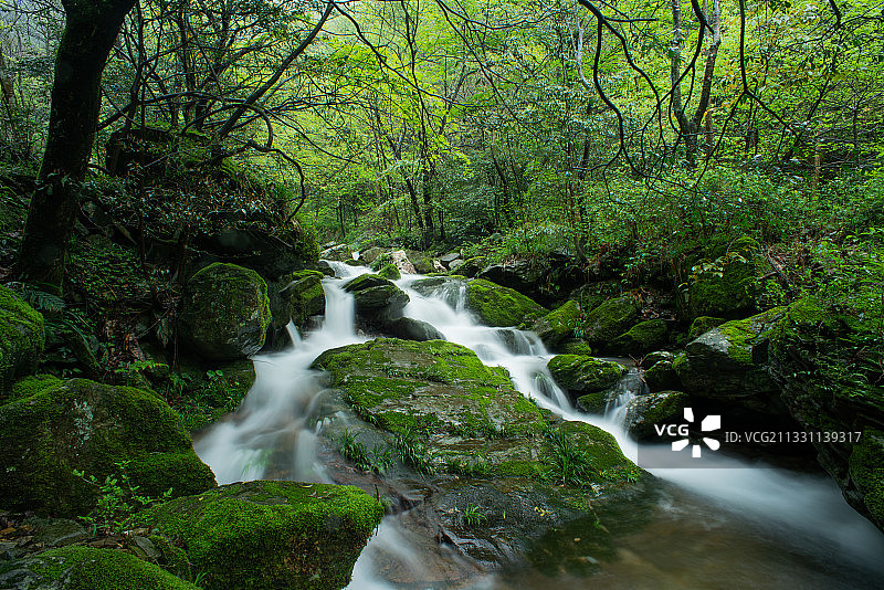溪流图片素材