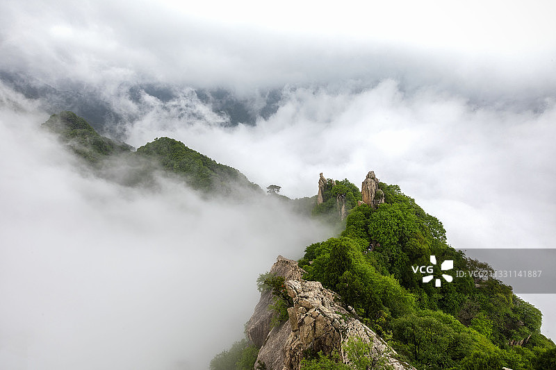 秦岭终南山翠华山龙脊梁云海图片素材