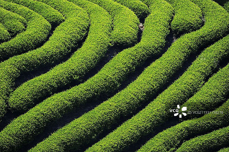 自然博物馆 南平图片素材