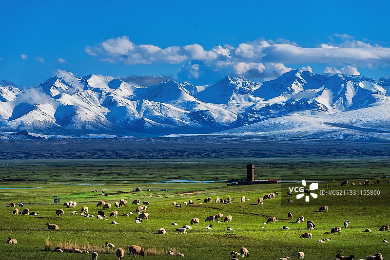 草原之歌图片素材