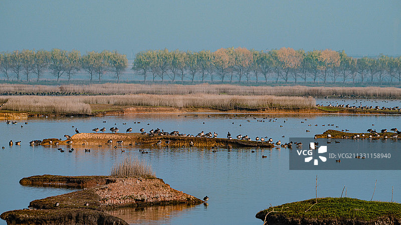 府河湿地图片素材