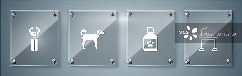 宠物美容台狗药品瓶套装图片素材