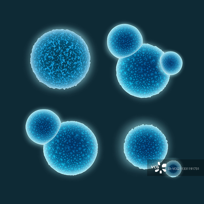 球菌细菌套装图片素材