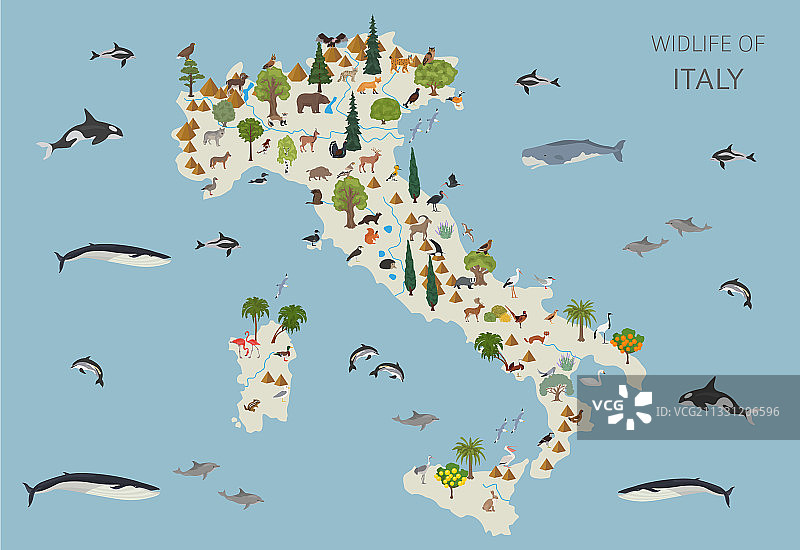 扁平风格意大利野生动植物鸟类图片素材