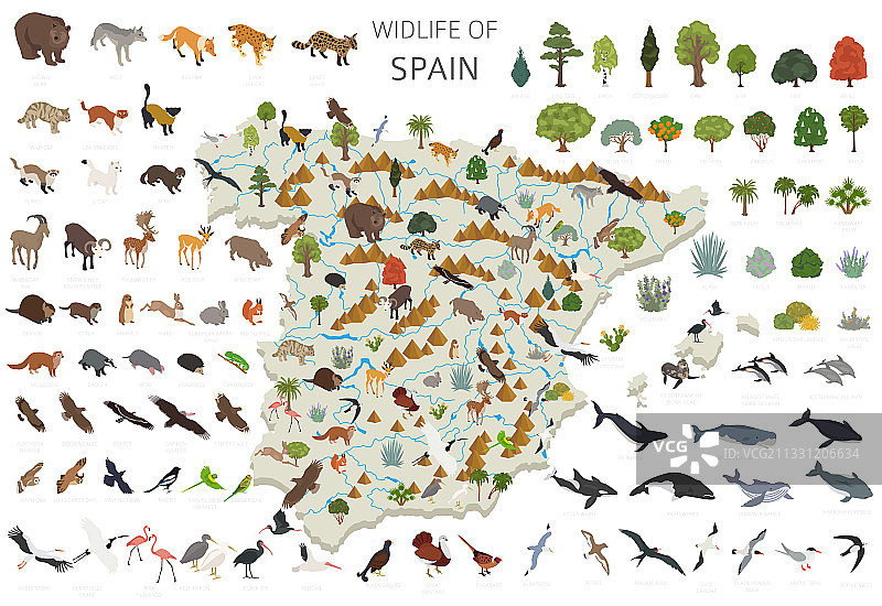 西班牙野生动物2.5D设计图片素材