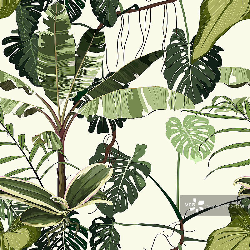 棕榈树叶植物热带风图案图片素材