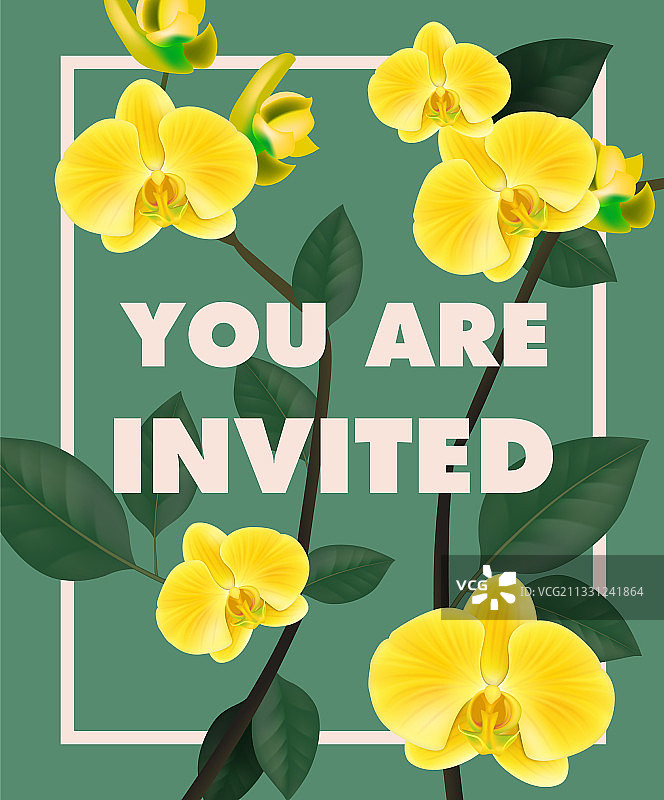带有黄色兰花的邀请函图片素材