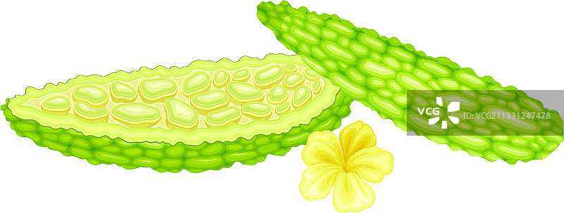 半个绿色苦瓜图片素材