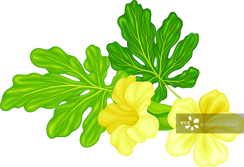 绿叶与黄色花朵图片素材