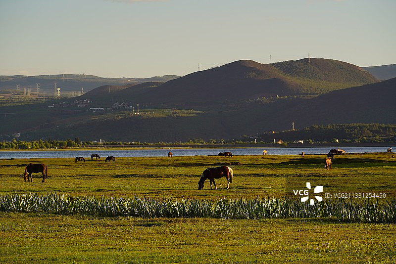 夕阳下的拉市海图片素材