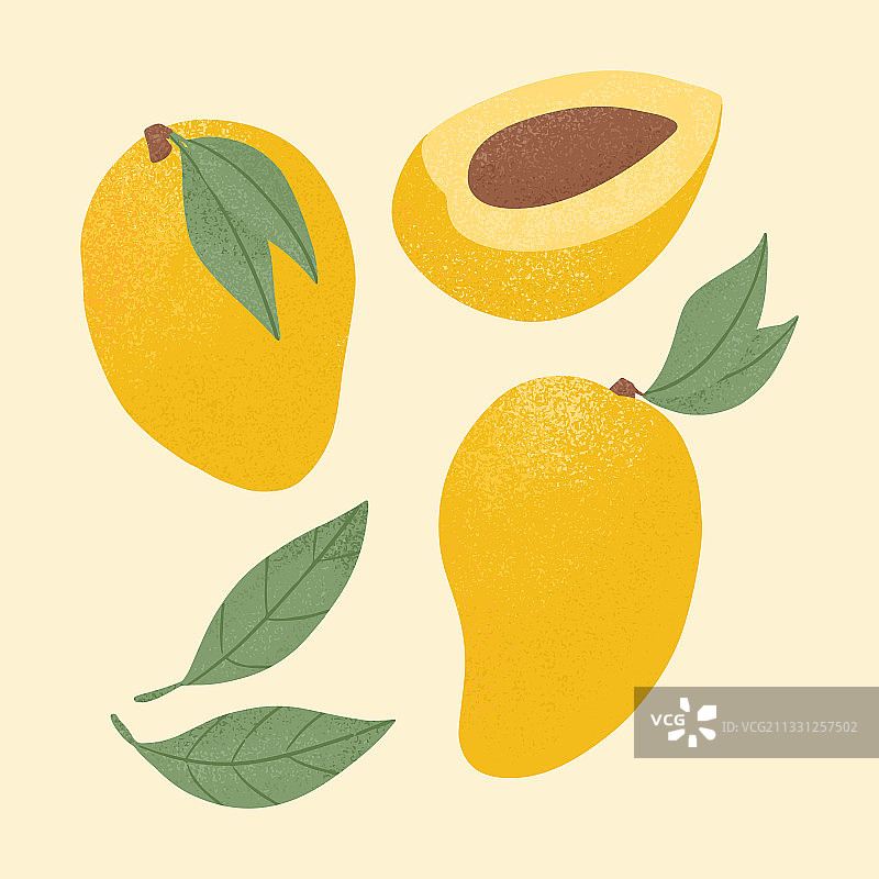 完整的成熟芒果和半个切片的甜芒果图片素材