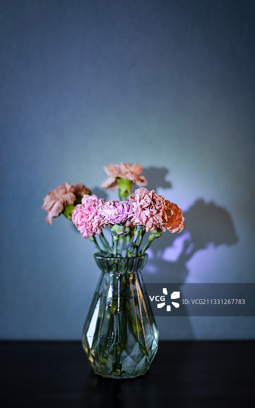 康乃馨花束图片素材