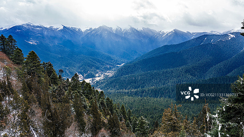 鲁朗林海图片素材