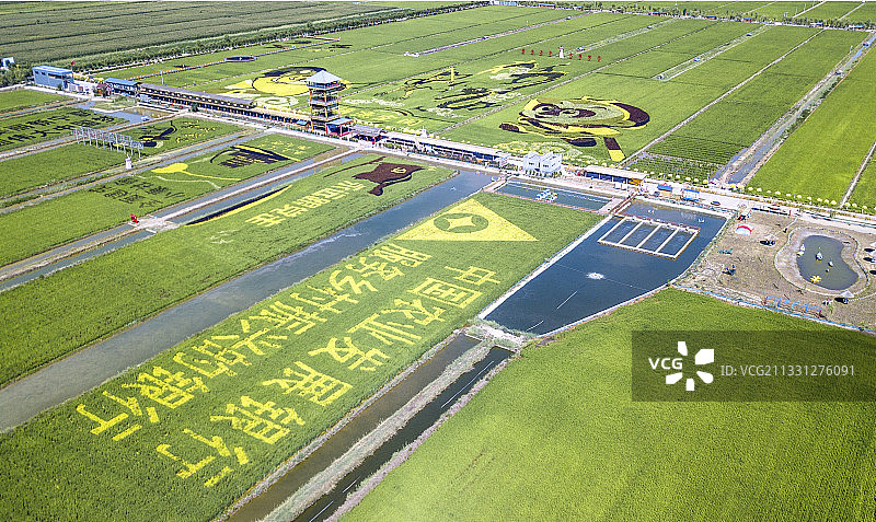 宁夏贺兰稻渔空间 银川图片素材