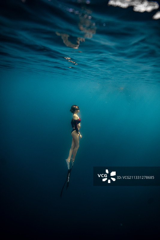 水中世界图片素材