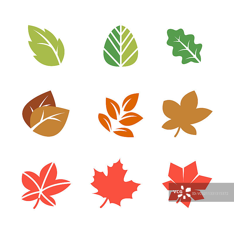 彩色秋叶套装图片素材