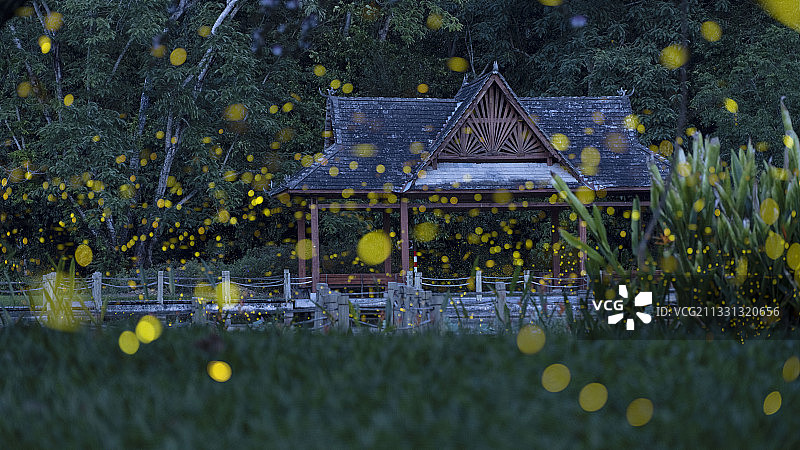 暗夜精灵-萤火虫图片素材